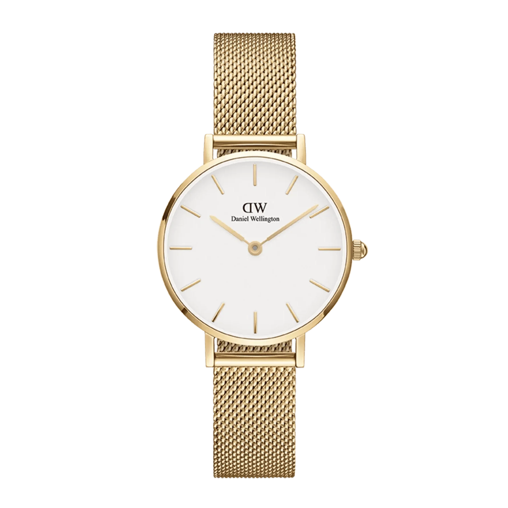 Daniel Wellington Petite Evergold Ladies Watch DW00100346