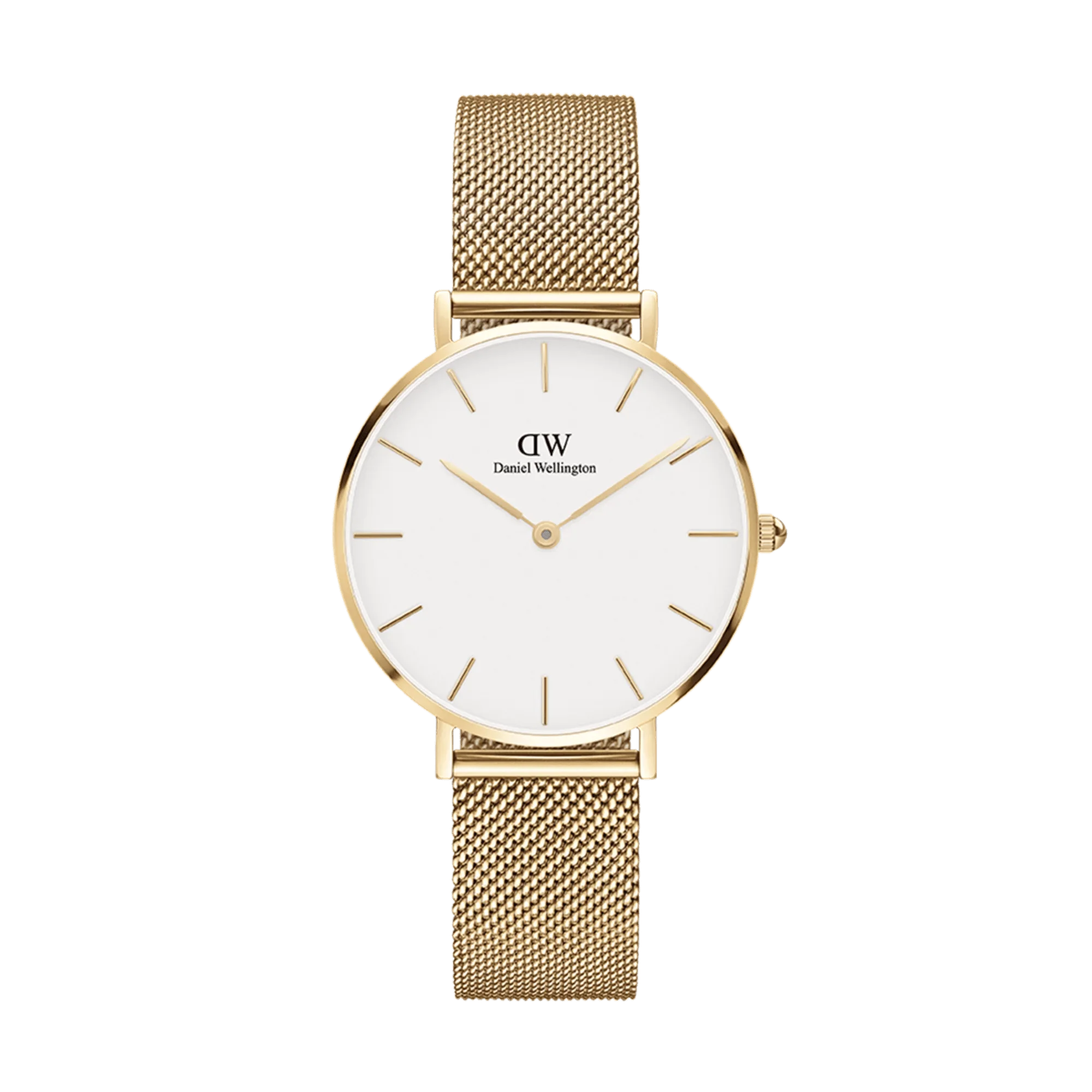 Daniel Wellington Petite Evergold Ladies Watch DW00100346