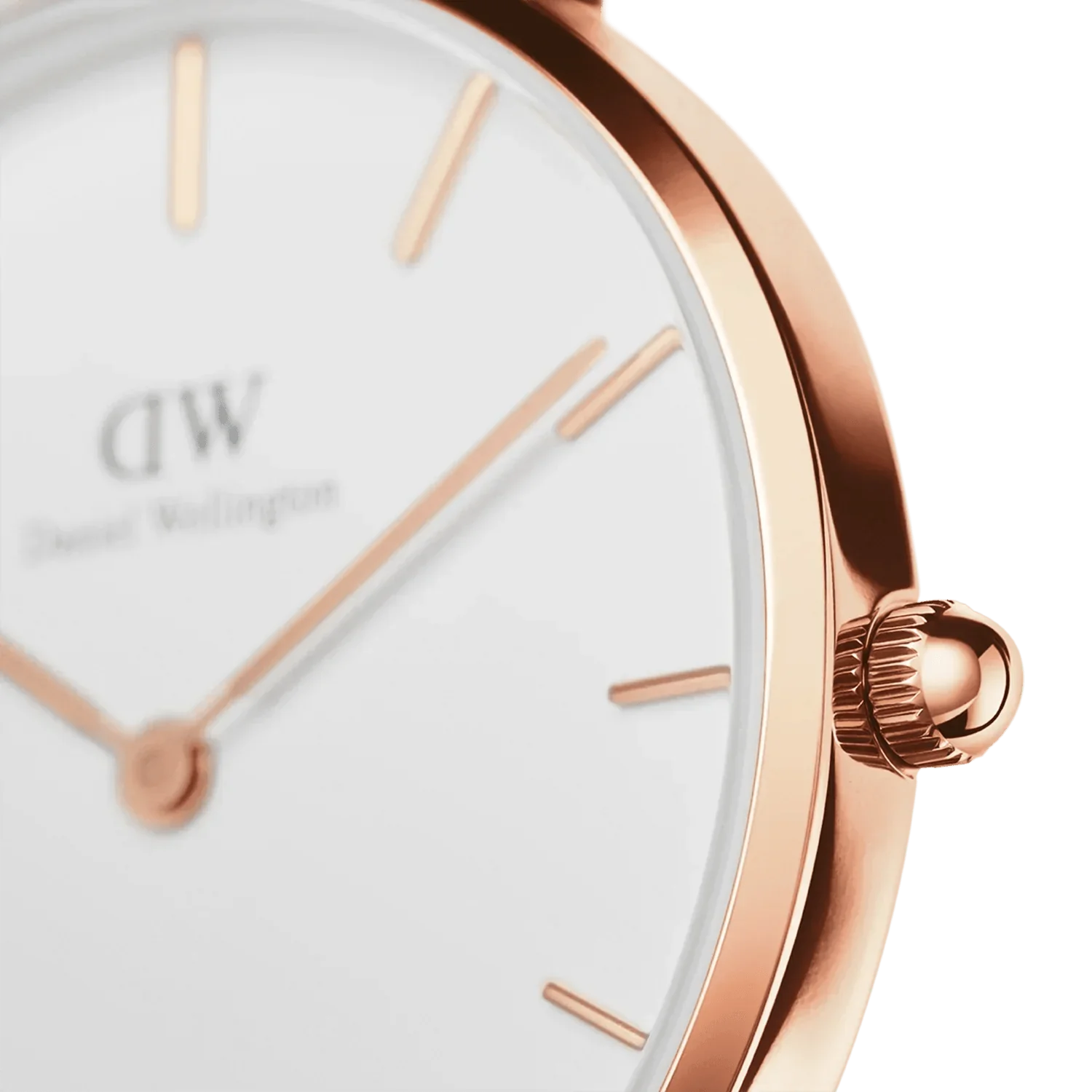 Daniel Wellington Ladies Petite Dover White Watch DW00100313